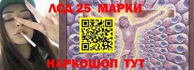 a pvp Можга