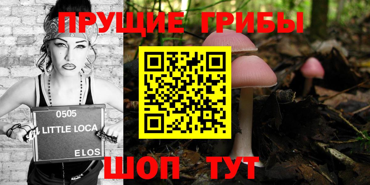 Северск  Галлюциногенные грибы MAGIC MUSHROOMS  Вход с VPN 